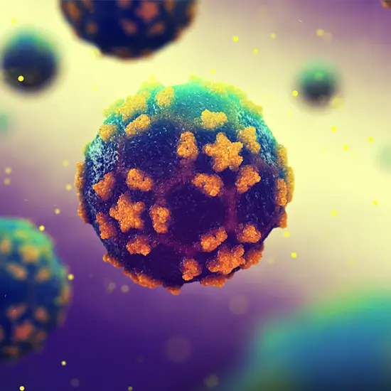 ECHOVIRUS ANTIBODY IgM Test